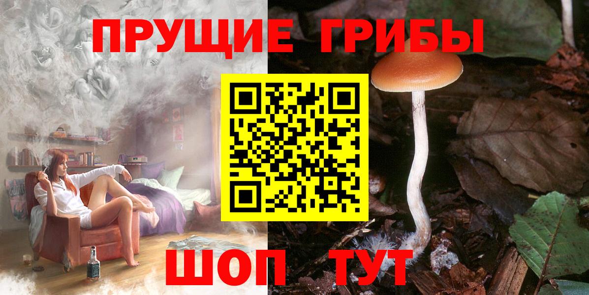 Псилоцибиновые грибы Magic Shrooms  Псилоцибиновые грибы мицелий  Вход с VPN  Асбест 